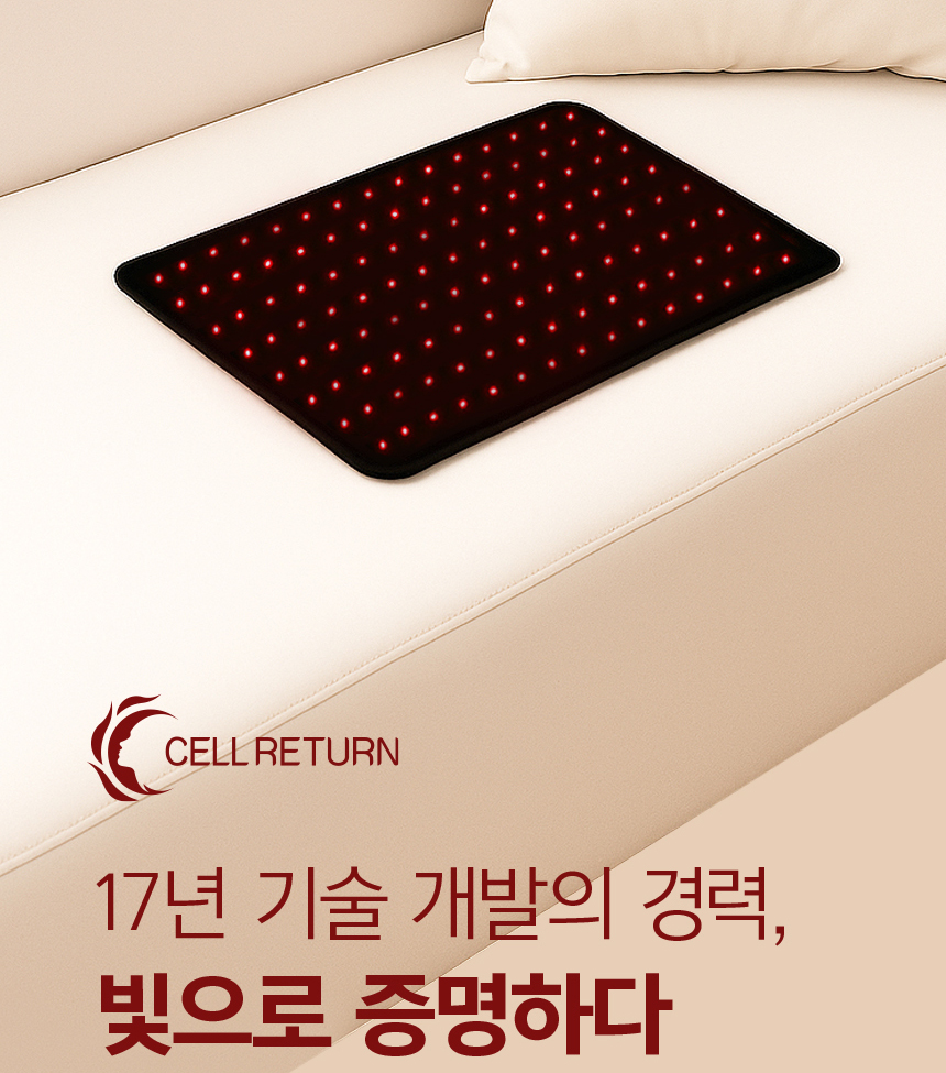웨어로즈 S20